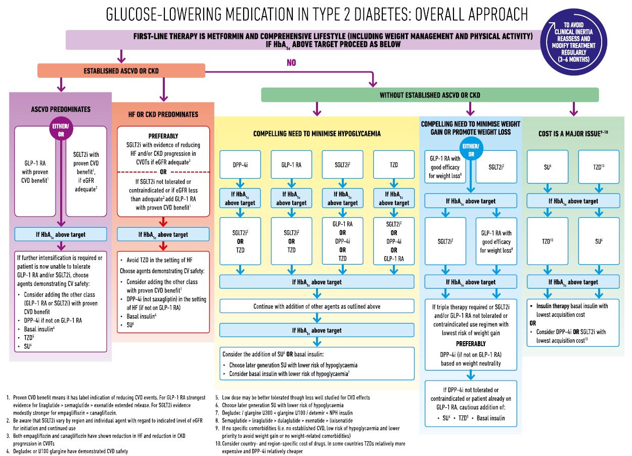 Type 2 Diabetes Medications Chart