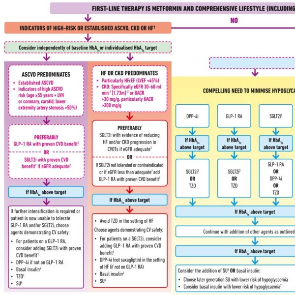 diabetes mellitus type 2 european guidelines