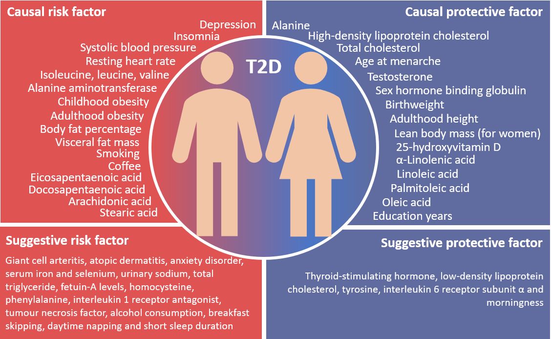 What Is The Risk Of Diabetes Type 2