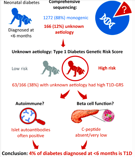 type 1 diabetes diagnosis