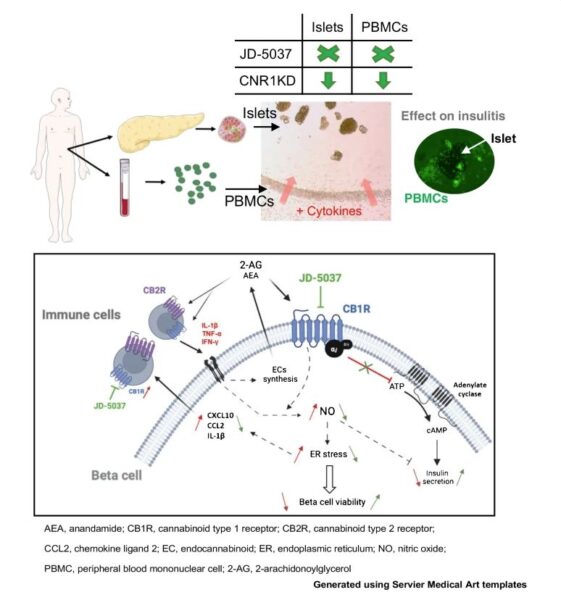 Wreven graphical abstract