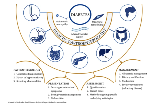 Kornum graphical abstract