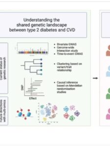Lee graphical abstract