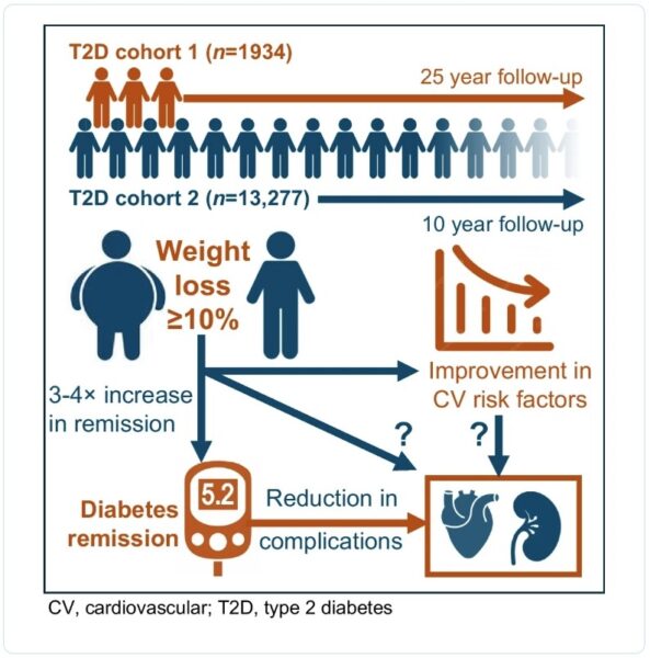 Morieri graphical abstract