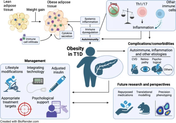 Alzaid graphical abstract