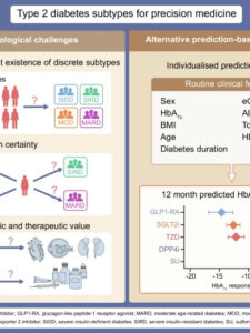 Mori graphical abstract